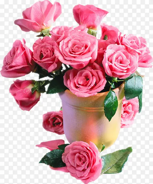 һ��õ�廨-������