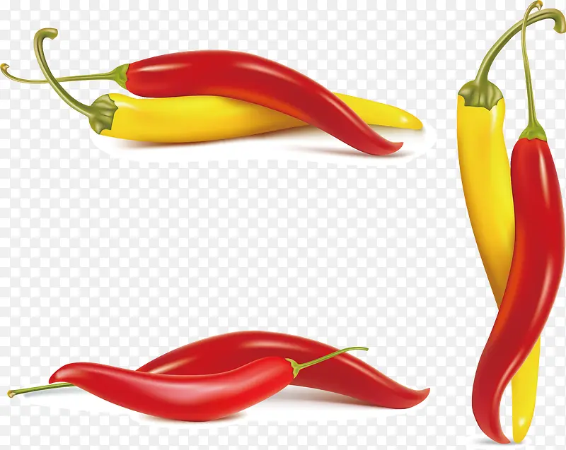 ���� С����  �߲� ʸ��ͼ-������