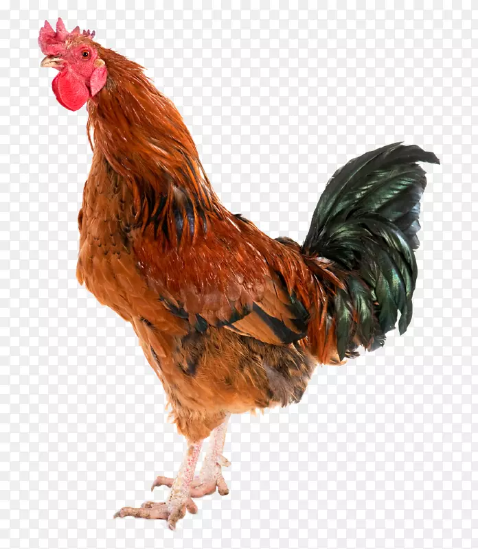 ��������Ｆ-������