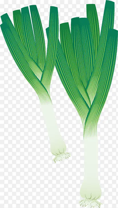 ���pngʸ���ز�-������