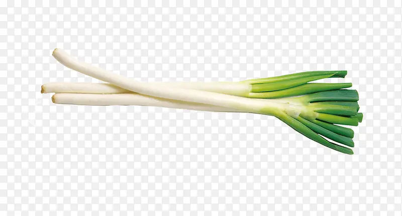 ����߲��ز�-������