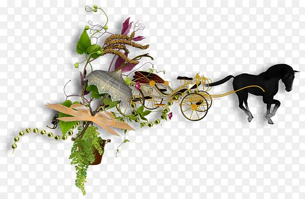 ����ϳ�������֦-������