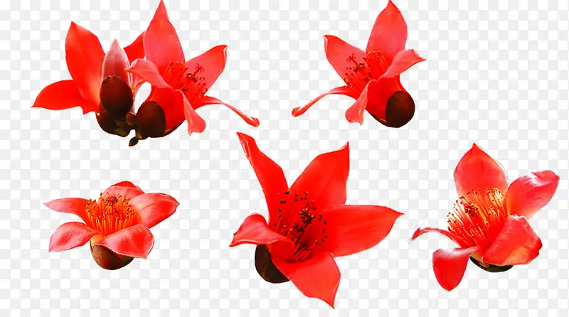 ��ɫľ�޻�����λչʾͼ-������