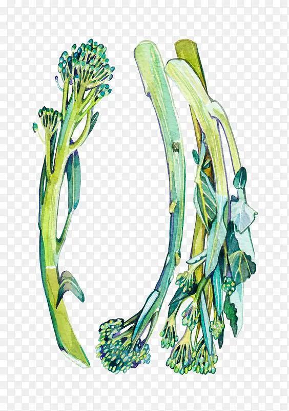 ˮ�����-������