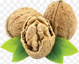 ���Ҽ��ʳƷ����-������