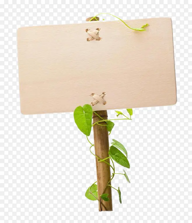 ��ʾ�ƣ���ʾ��-������