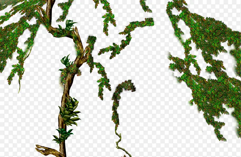 ��ͨ������̦ͼ��-������