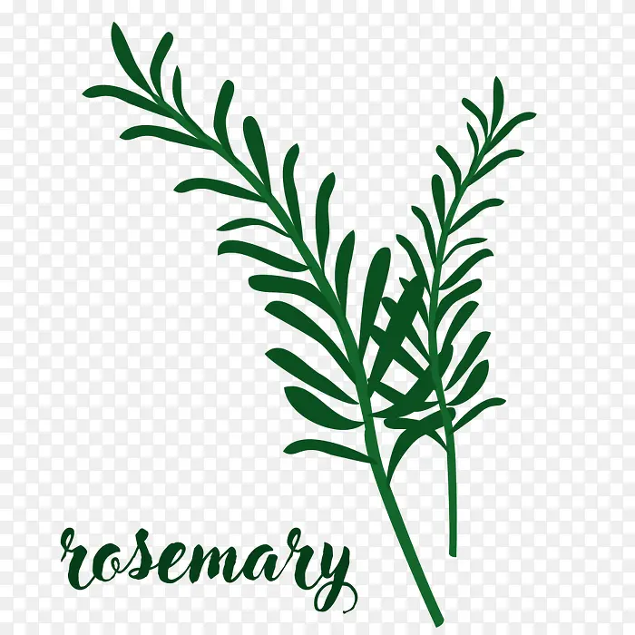 �ֻ�ݱ�ֲ��Ҷ��-������