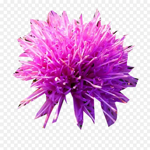 ��ɫ�̼���ͼƬ�ز�-������