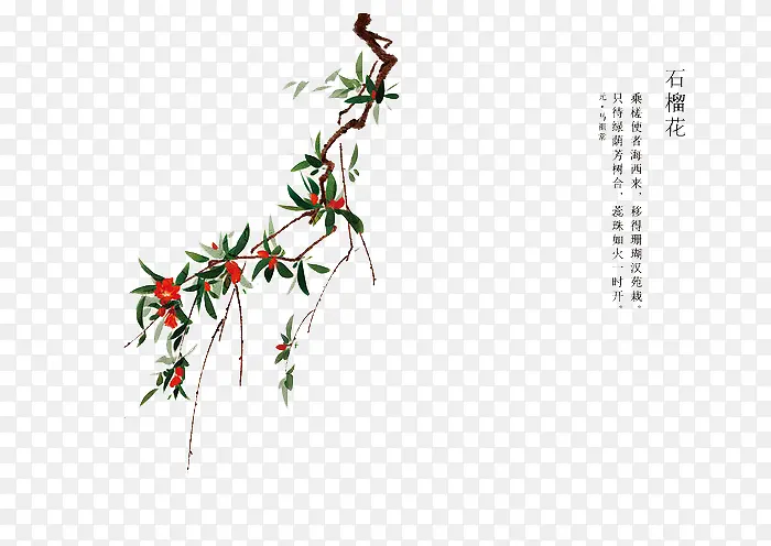 �ֻ滨��-������