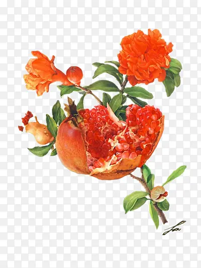 �ֻ�ʯ��-������