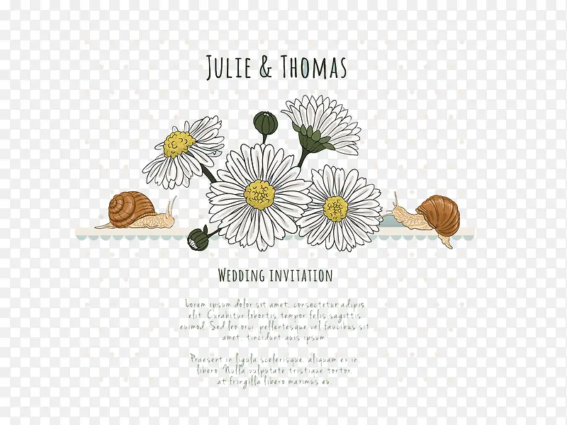 С���ղ���ͼ-������