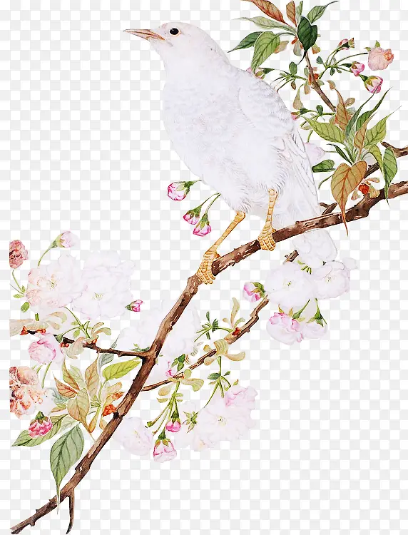 ����֦ͷ-������