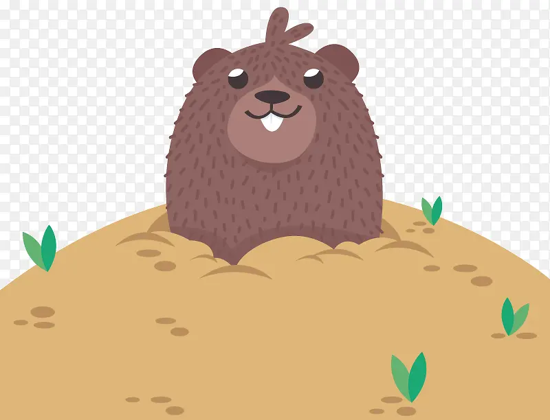 �ɰ�������-������