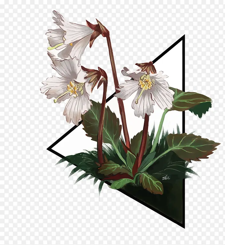 ʸ������-������