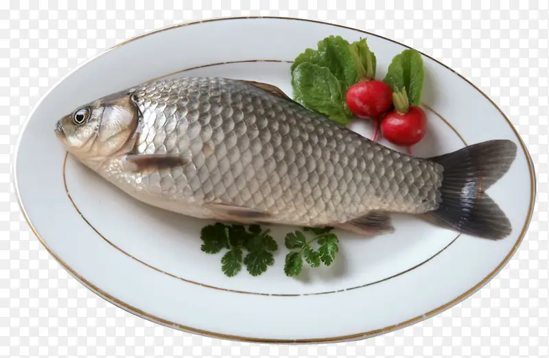 ʵ�����ʺ�������-������