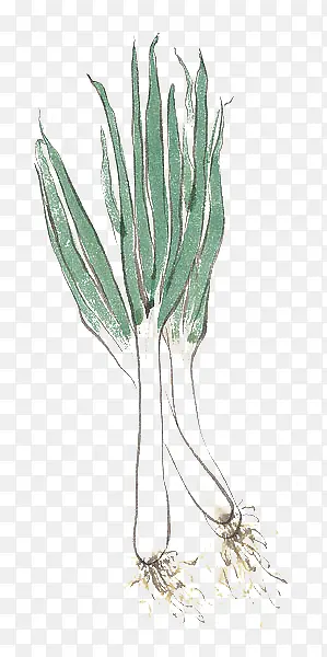 ���-������