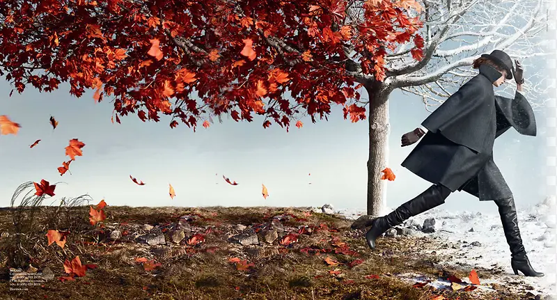 �ﶬ�¿���´���-������