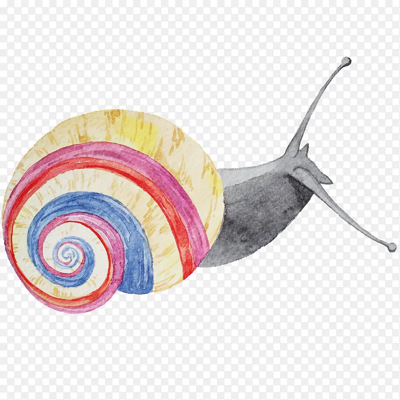 ��ɫ��ţ-������