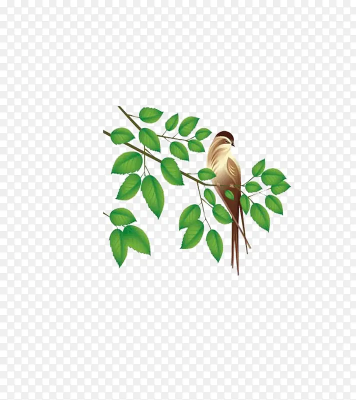 С��-������