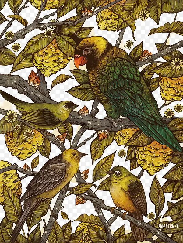 ʸ��ˮ����Ҷ����-������