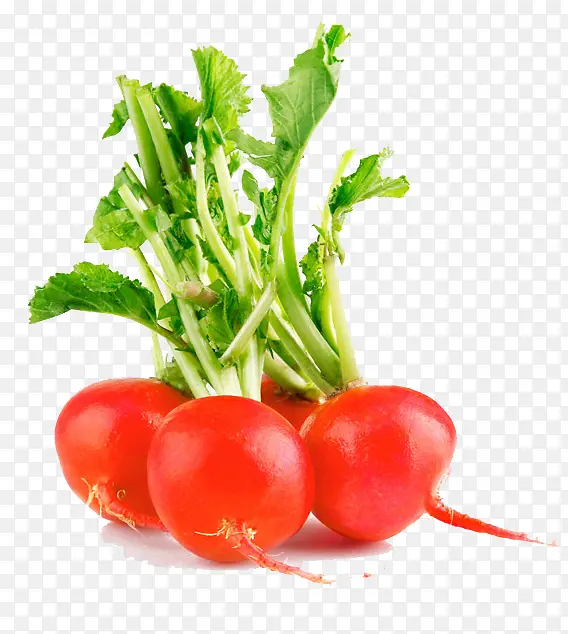 һ���ܲ��߲�Ҷ��-������