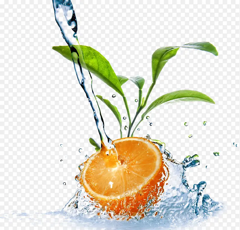 ƻ����װ-������