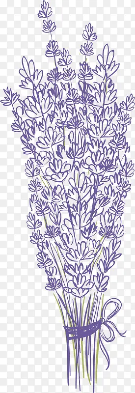 ��ɫʸ���ֻ�޹�²�-������