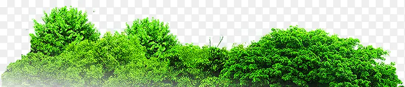 ����ѧУ������չ��-������