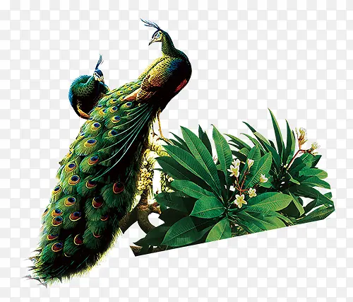 Ư���Ŀ�ȸ-������