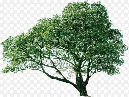 ����-������