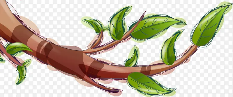 ��Ҷ��֦-������