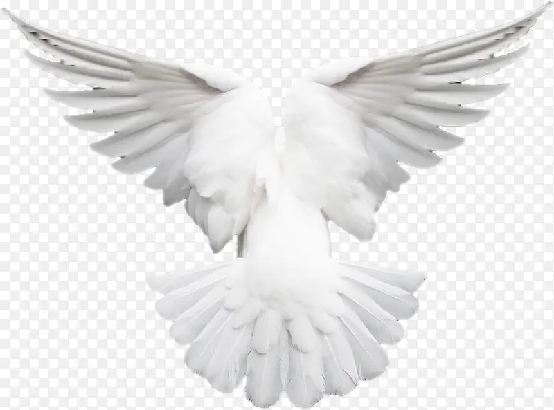 �׸���ë��׳��-������