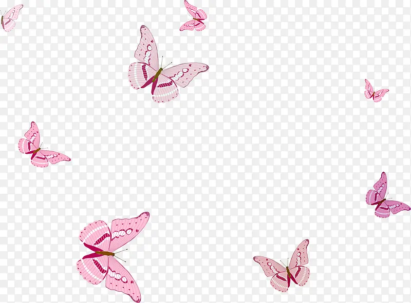 ����Ư��-������