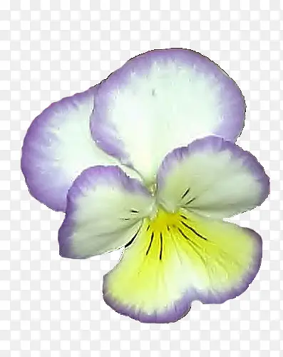 ����ɫ��������-������