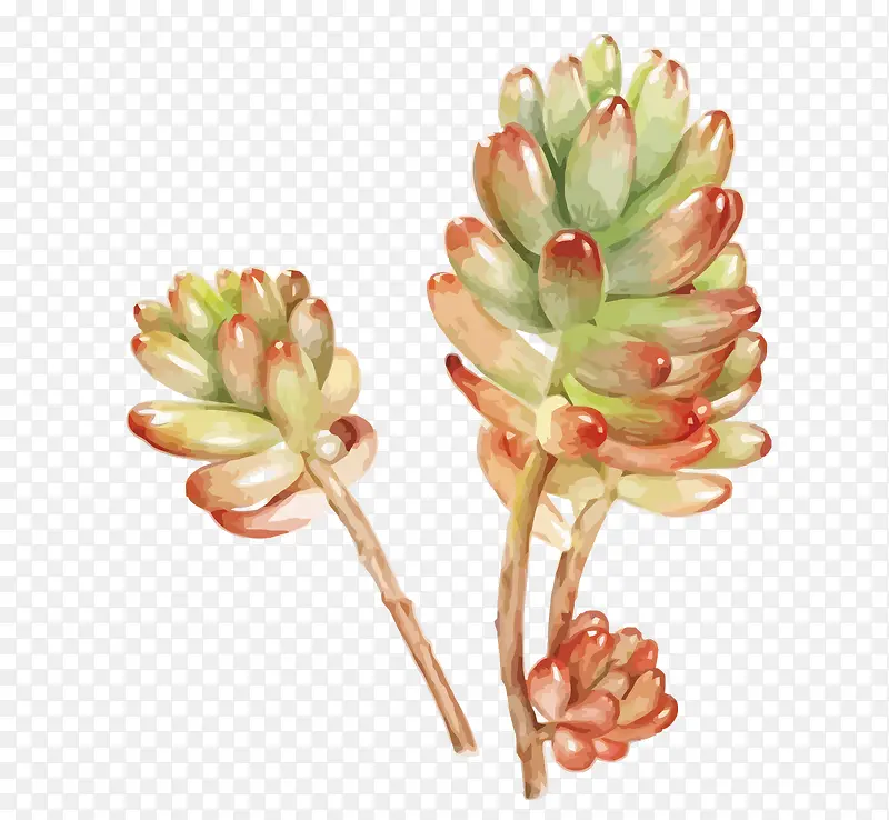 ʸ������ֲ��-������