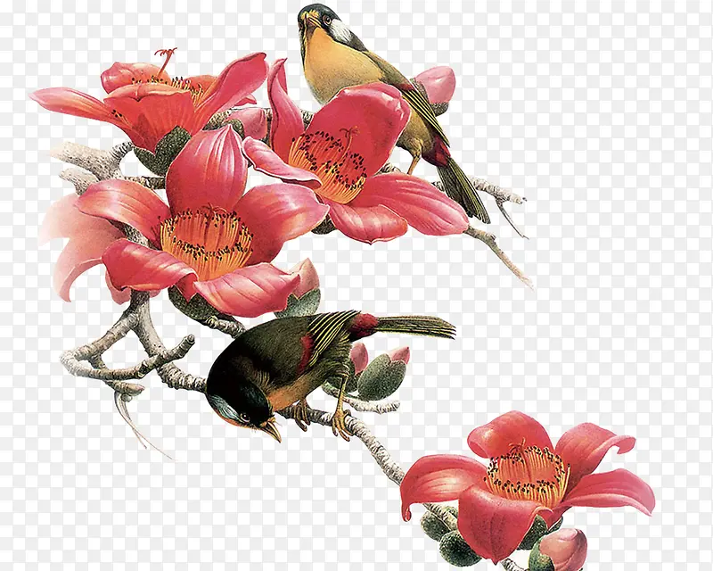 �ž黨-������