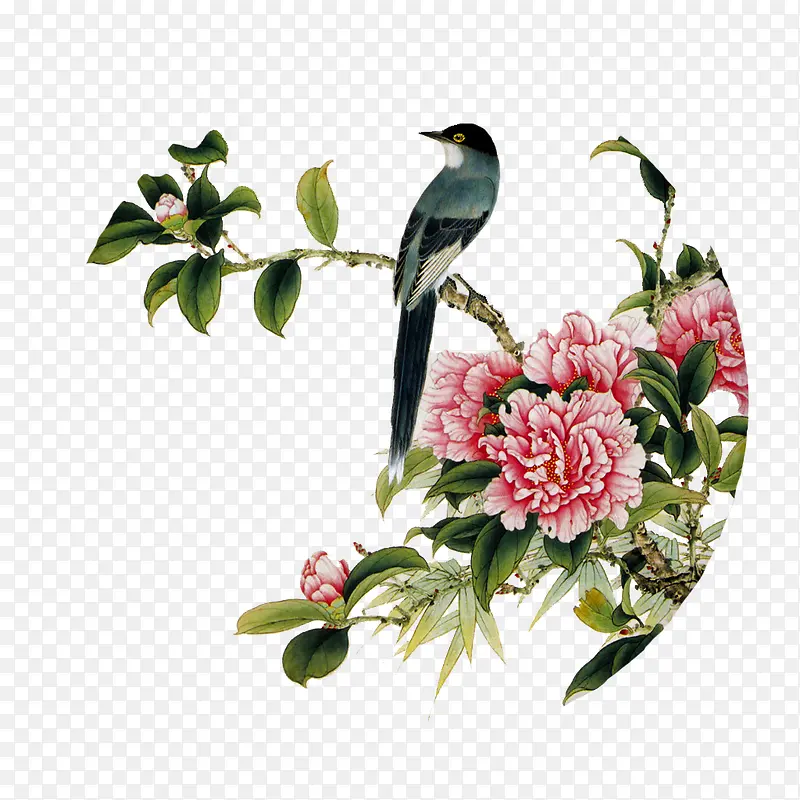 ����ڻ�-������