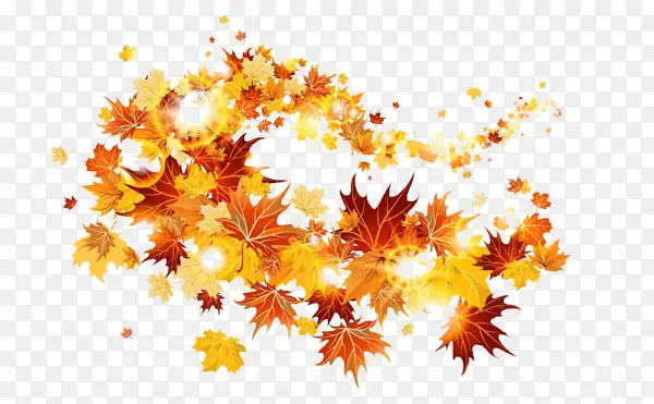 ��Ҷ-������