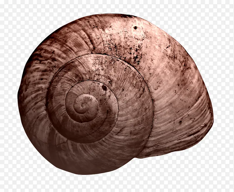 ����-������