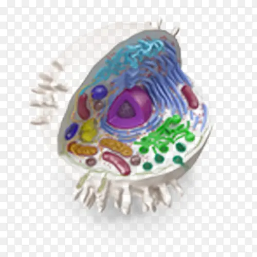 ����ϸ��-������