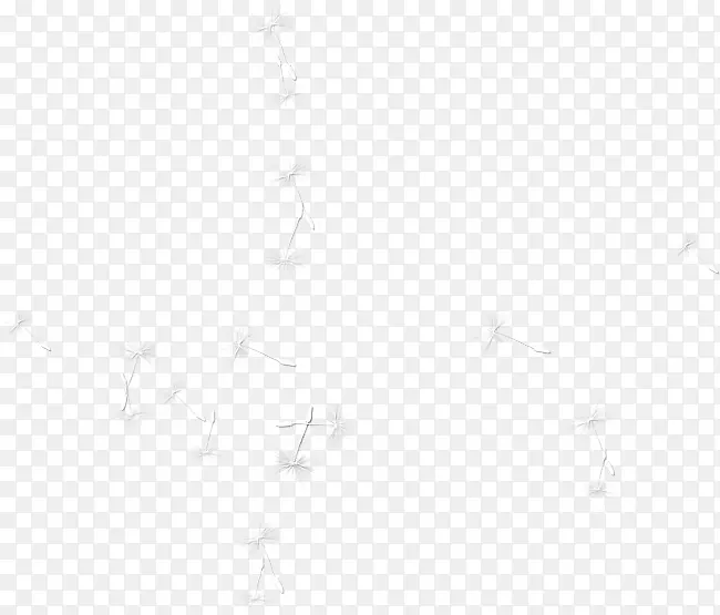 Ư����ɫ�ѹ�Ӣ-������