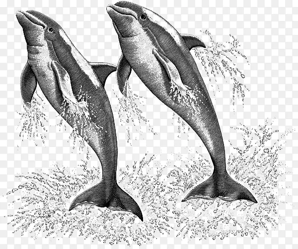 �ڰ׺�������廭-������