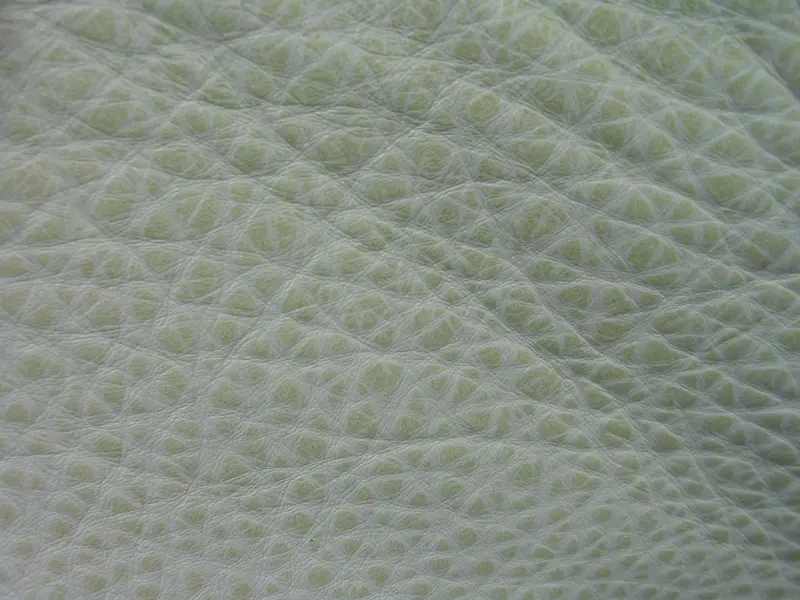 ǳɫƤ�Ʊ���-������