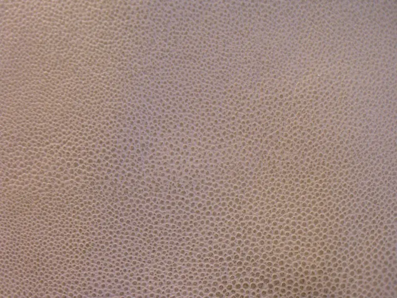 ǳɫƤ����������-������