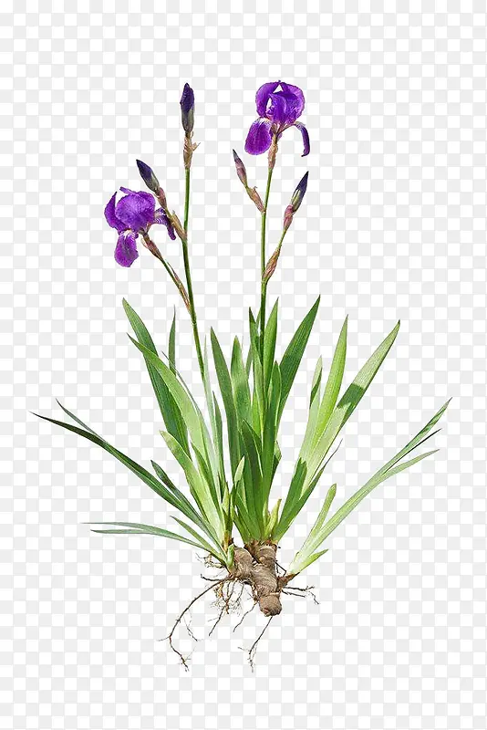 С�����β�����ϵ��-������