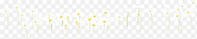 ������С��-������