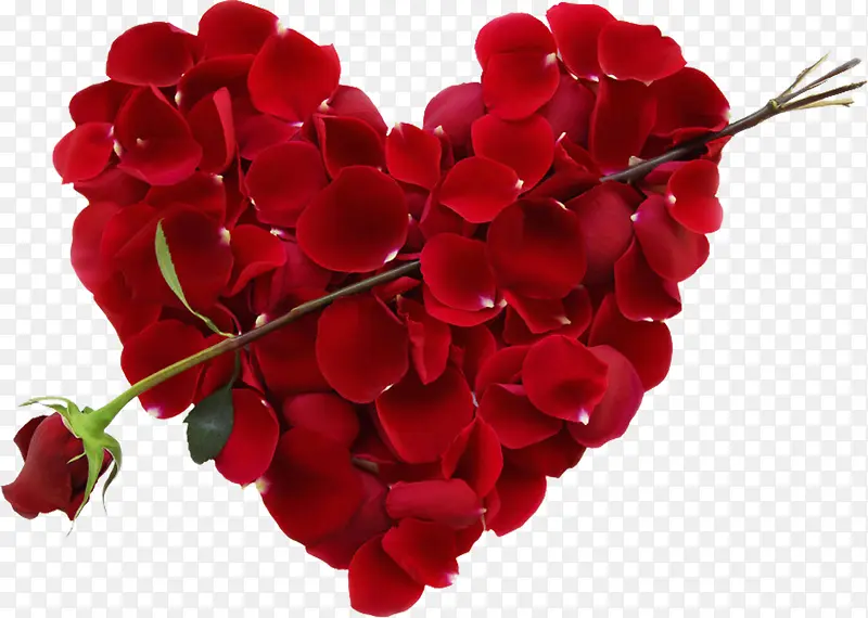 ����ϳ�õ�廨Ч����Ӱ-������