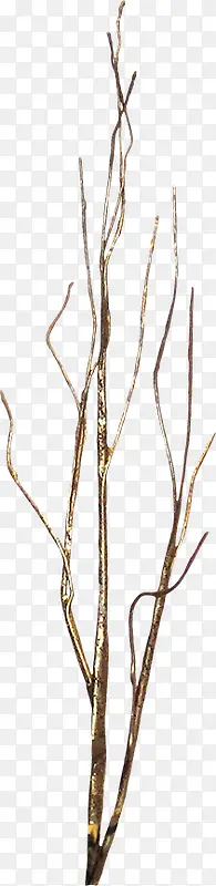 ����ز�ͼƬ-������