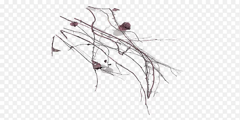 ��ή��֦�ز�-������